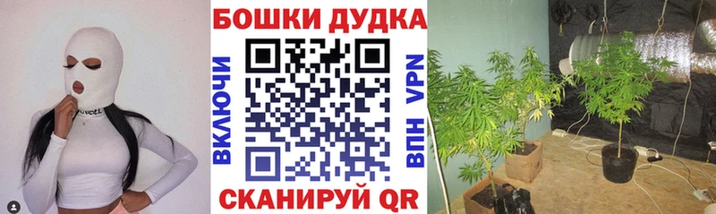 Codein Приморско-Ахтарск