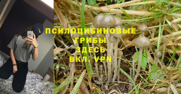 apvp Магас