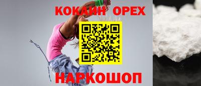 крисы Гусев