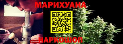 крисы Гусев