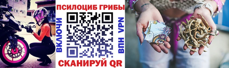 Псилоцибиновые грибы Psilocybine cubensis  Купить закладки  Приморско-Ахтарск 