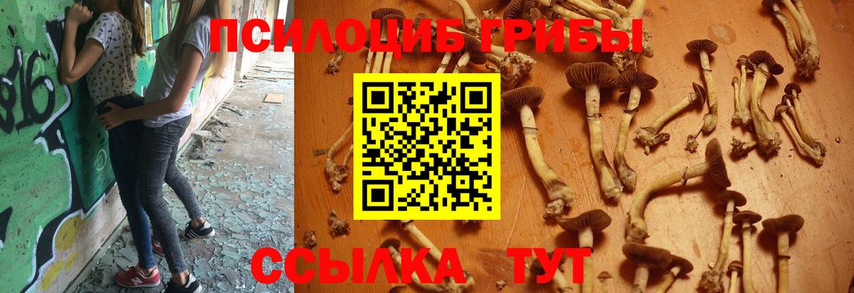 Приморско-Ахтарск  Псилоцибиновые грибы Magic Shrooms  Вход с VPN 