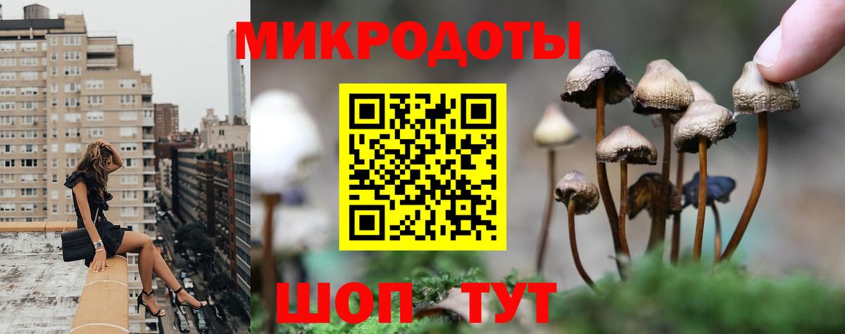 Псилоцибиновые грибы мухоморы Приморско-Ахтарск